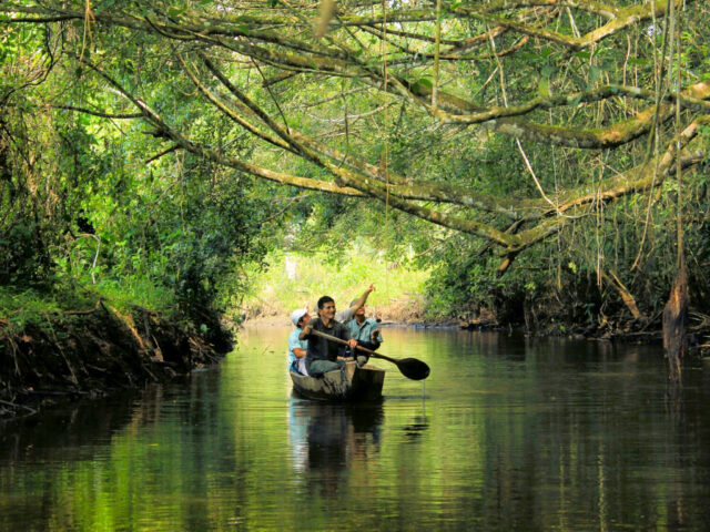 Manu Rainforest Reserved Zone 6D/5N