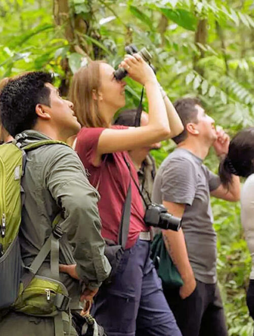 Manu Rainforest Leisure Cultural Zone 4D/3N