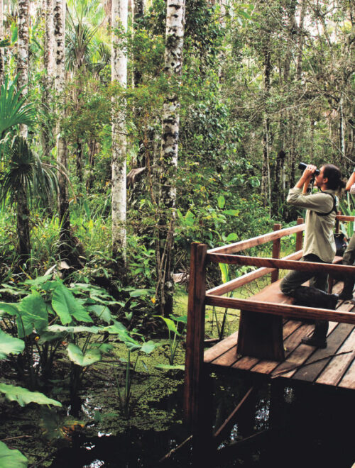 Manu National Park Express Cultural Zone 3D/2N