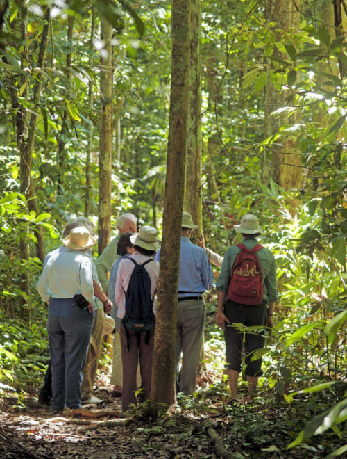 Manu National Park Express Cultural Zone 4D/3N