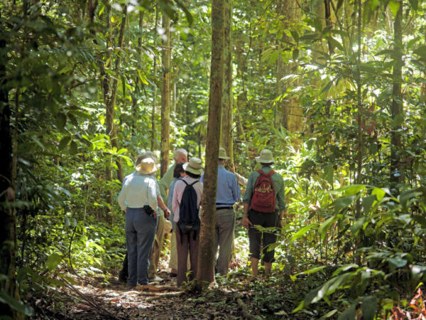 Manu National Park Express Cultural Zone 4D/3N